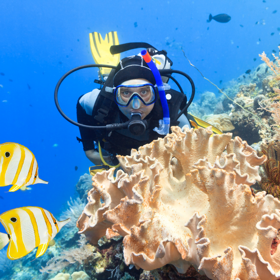 Advanced Adventure Diver