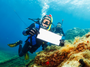 Open Water Diver