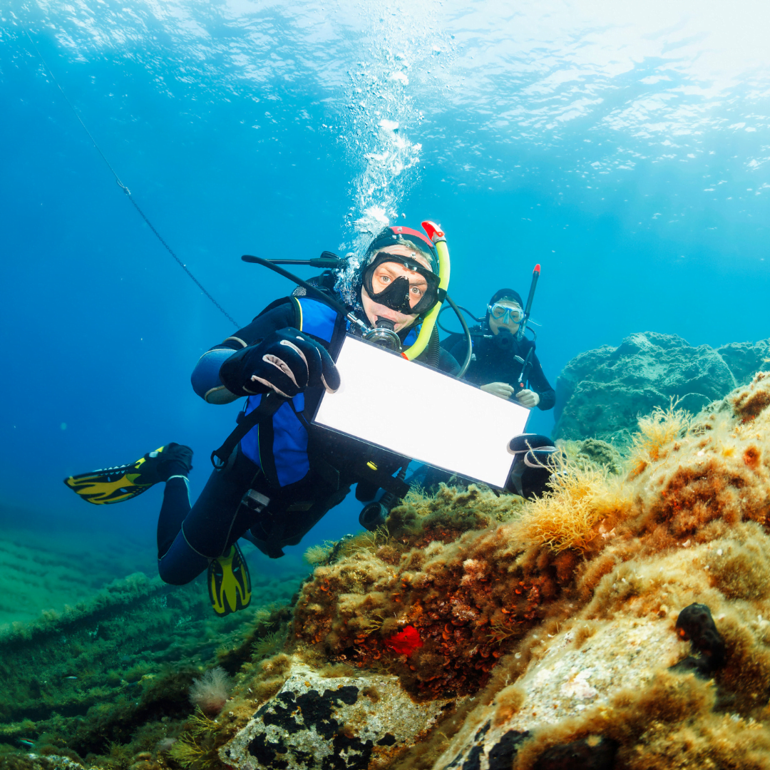 Open Water Diver