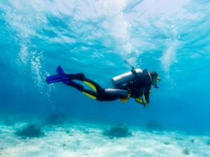 Scuba Diver