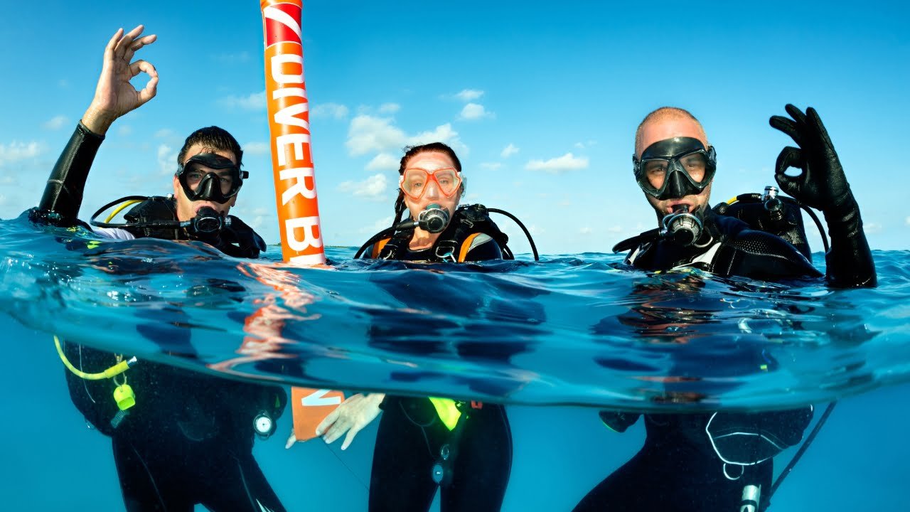 Dive Into Adventure with AndamanReefTrips: Your Gateway to Underwater Exploration