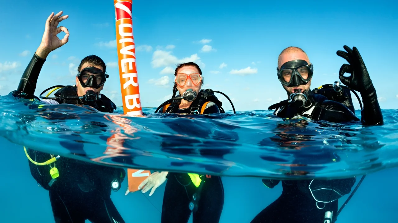 Dive Into Adventure with AndamanReefTrips: Your Gateway to Underwater Exploration