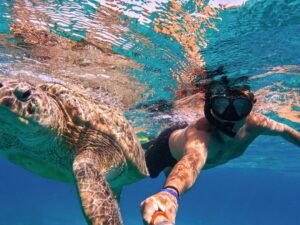 Scuba Diving at Turtle Beach