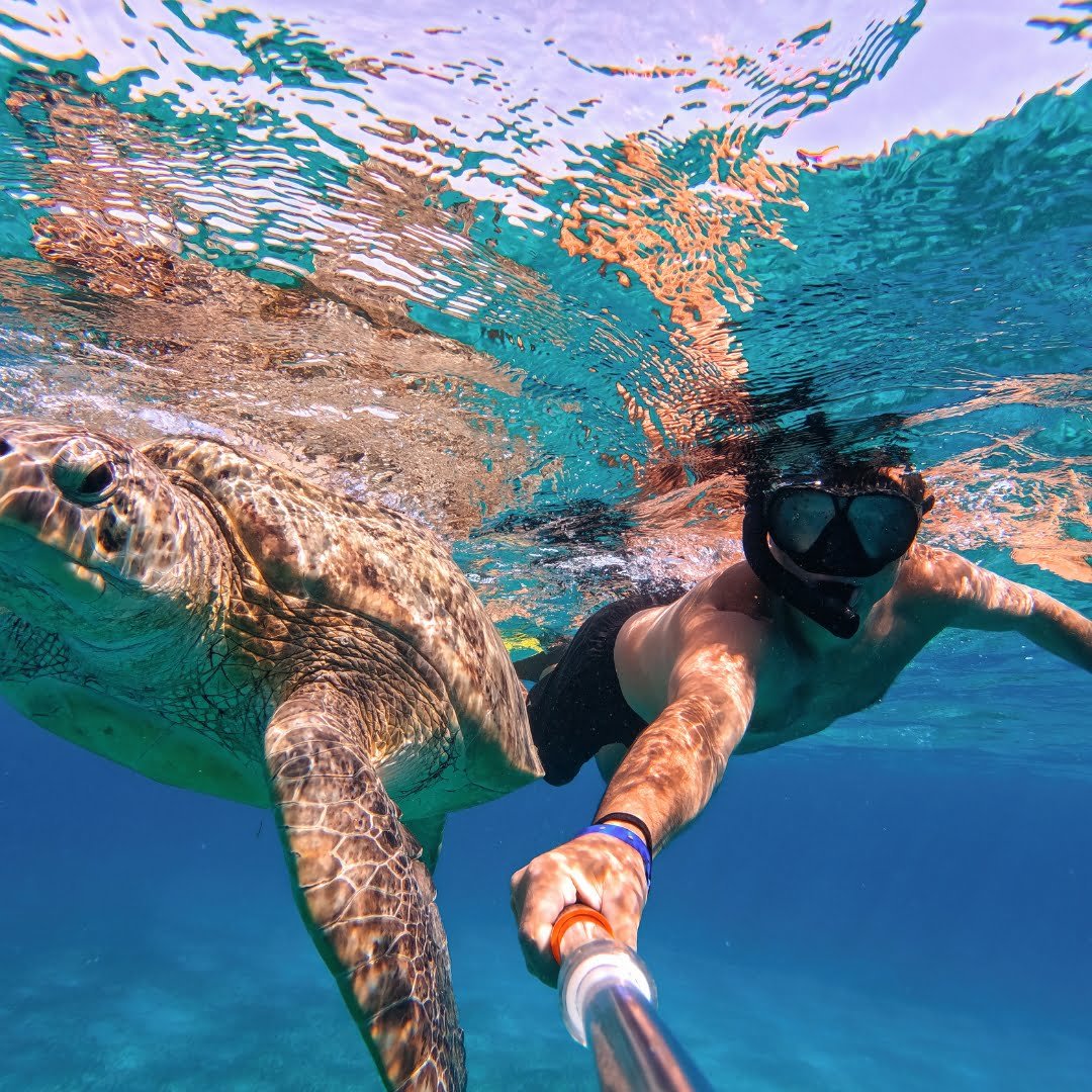 Scuba Diving at Turtle Beach
