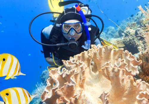 Advanced Adventure Diver