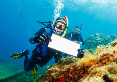 Open Water Diver
