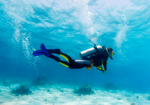 Scuba Diver