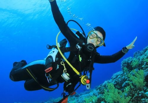 Scuba Diving 3